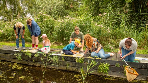 A mixture of adults and children dipping nets into a pond